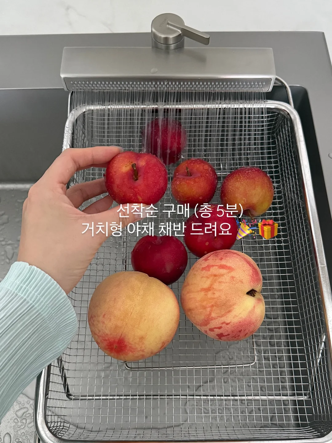 노노어 립 조합 8