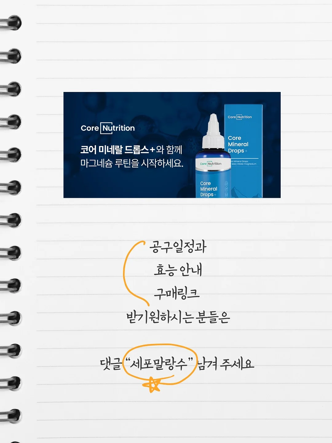 차량용 바디 쿠션 6