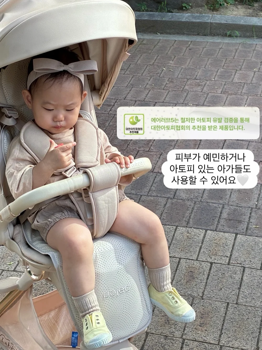 얼룩 제거제 12