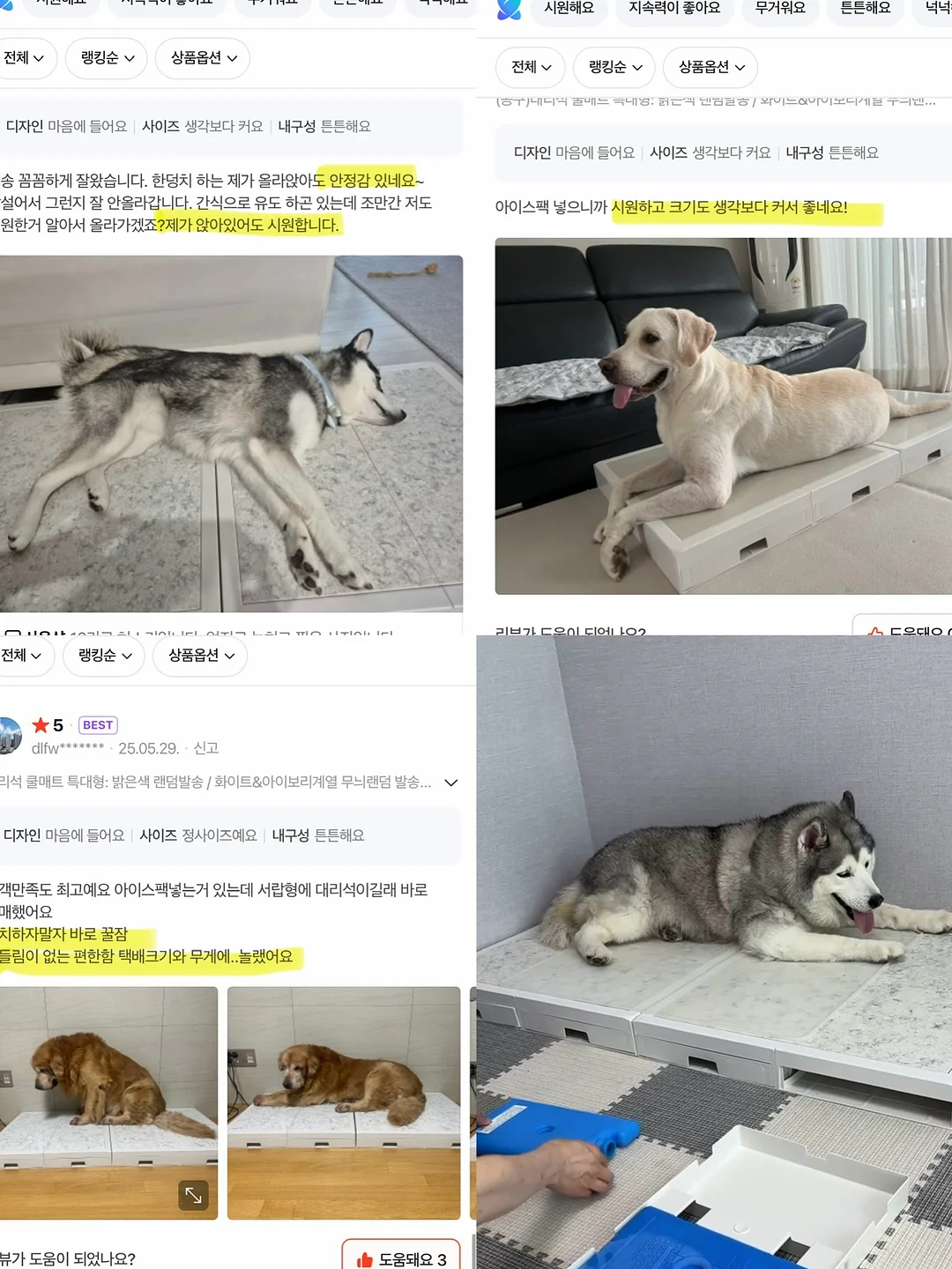 키즈 버뮤다 하프팬츠 12