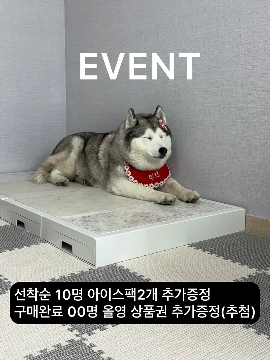 키즈 버뮤다 하프팬츠 4