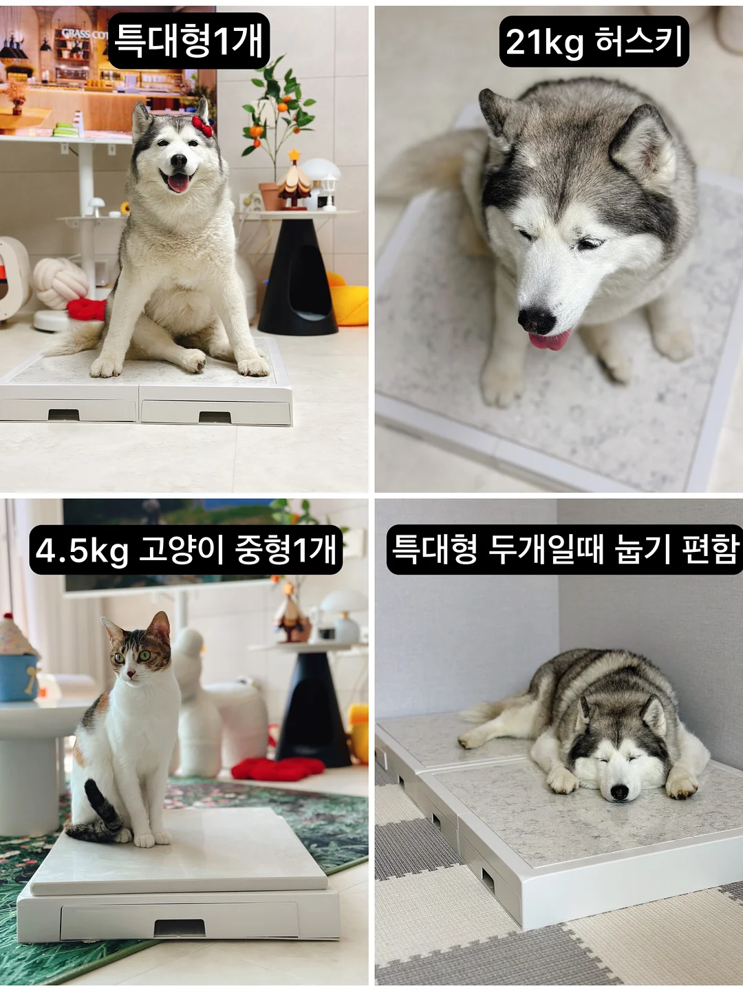 키즈 버뮤다 하프팬츠 5