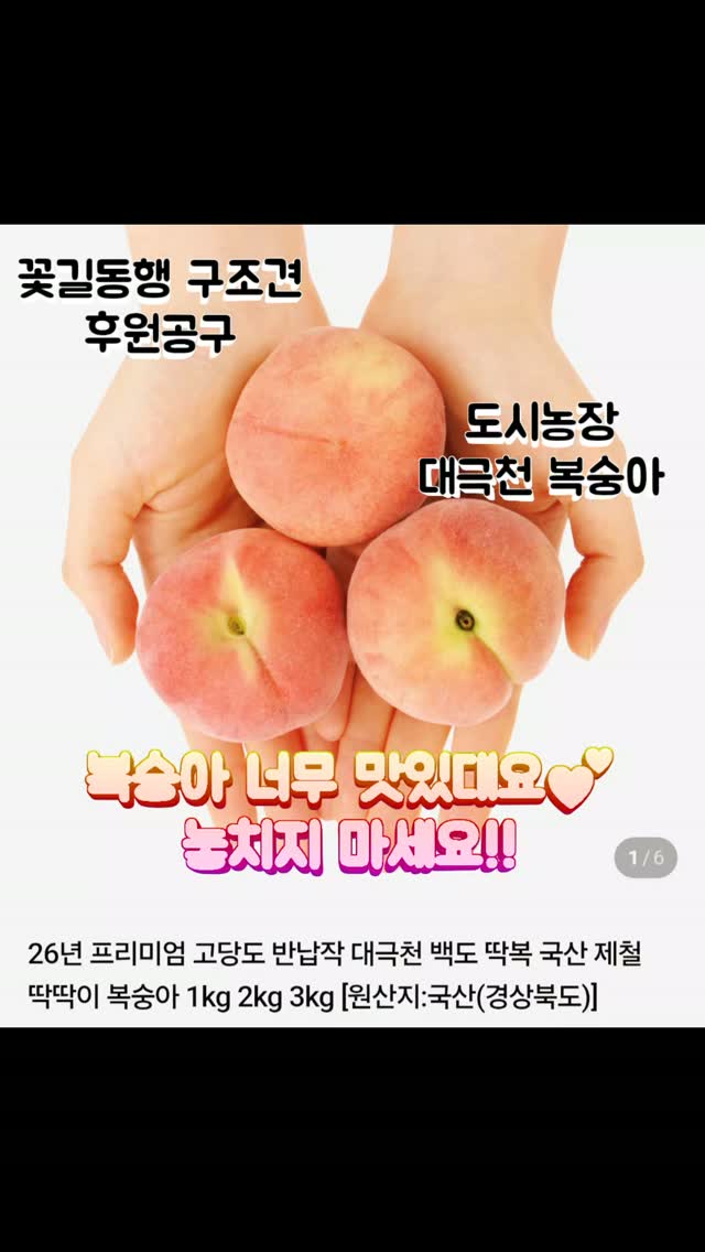 24k 스윗러브 초콜릿 골드바