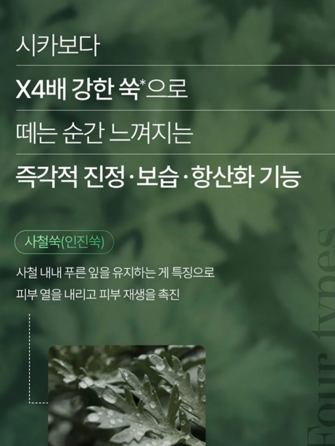 샤넬 클래식 맥시 18