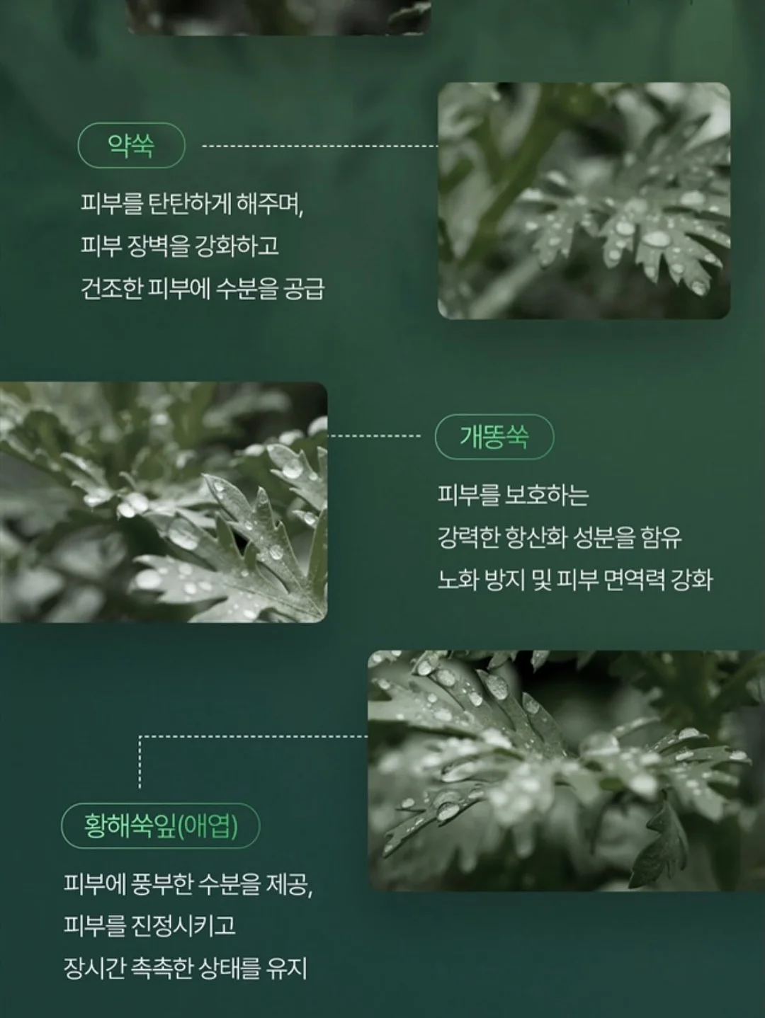 샤넬 클래식 맥시 19