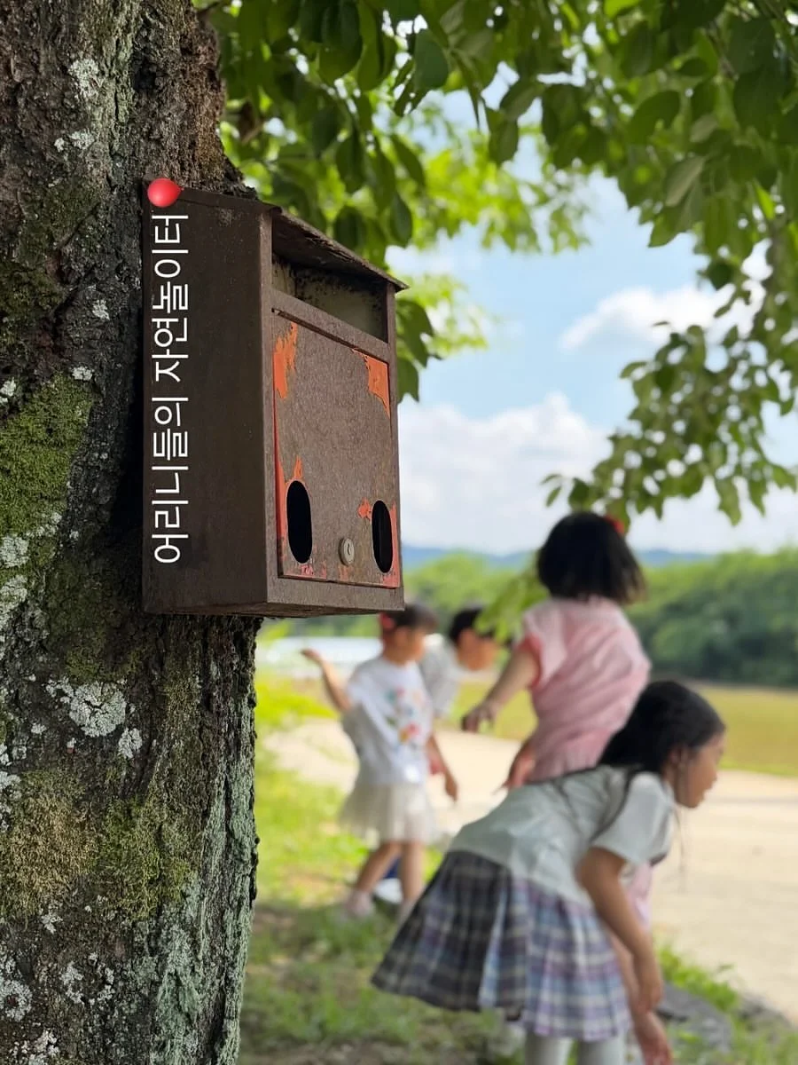로우박스 티셔츠 8