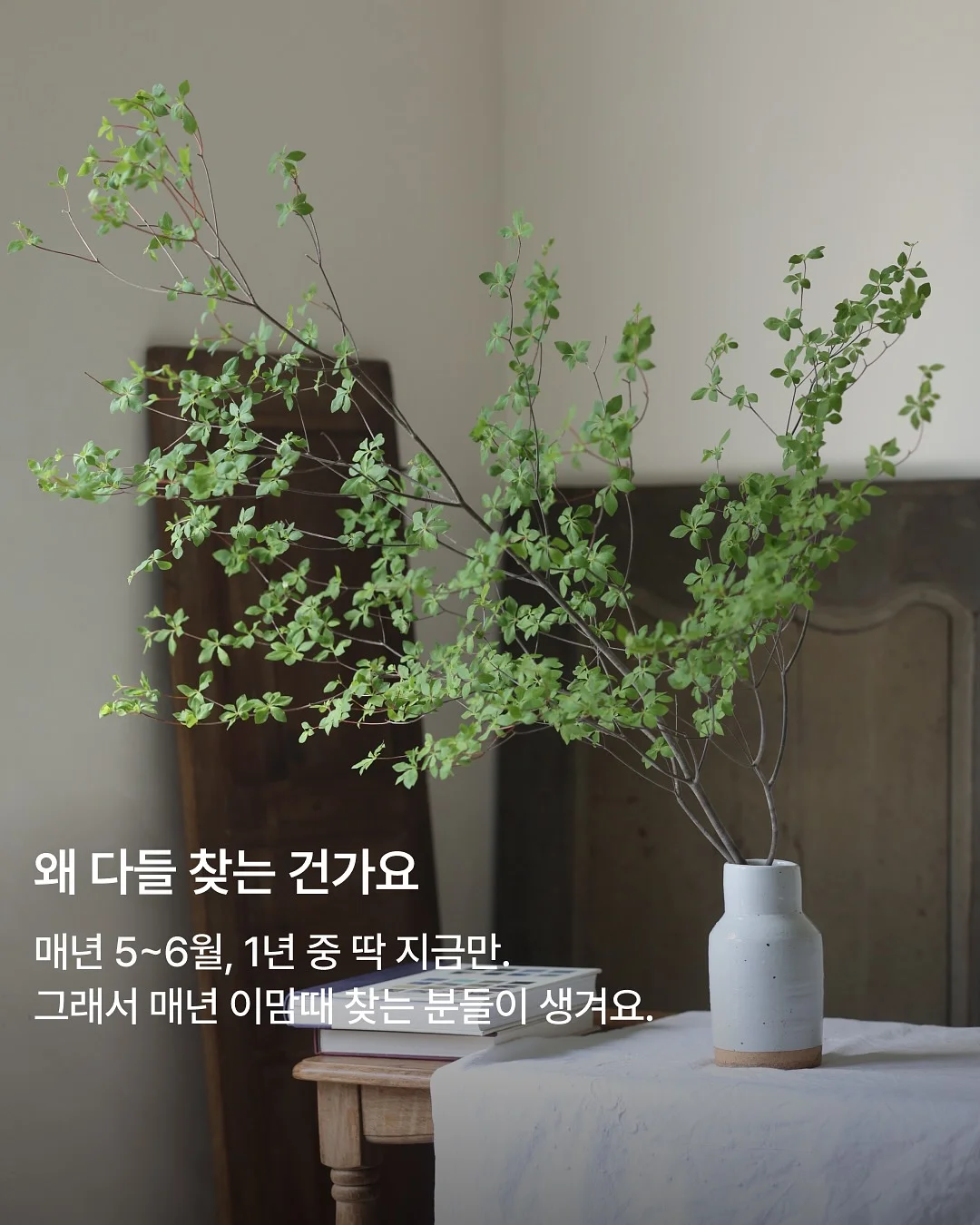 로맨틱 가든 컬러 풍선 3