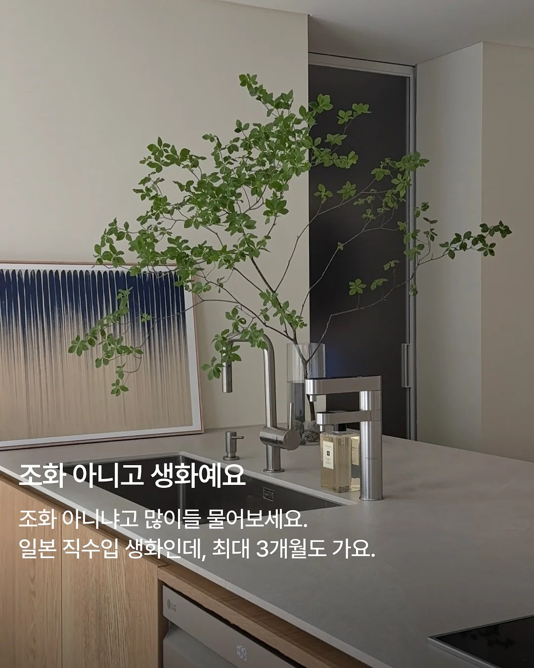 로맨틱 가든 컬러 풍선 4