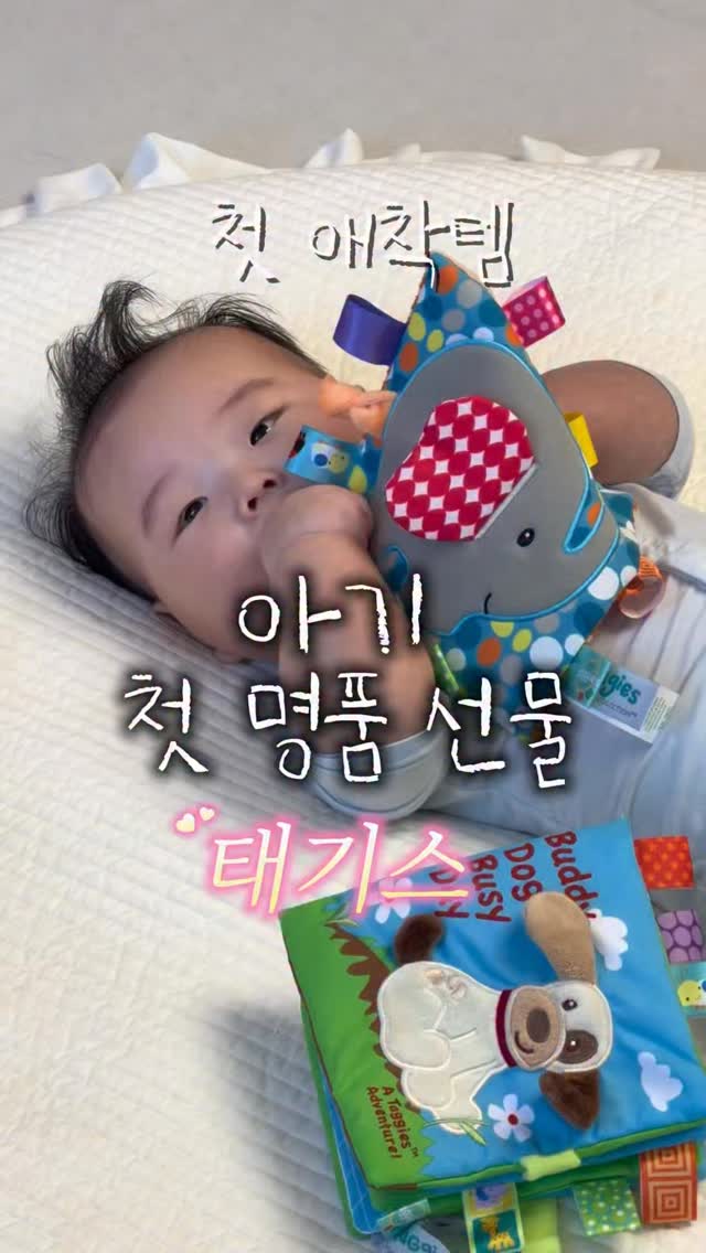 만능세트