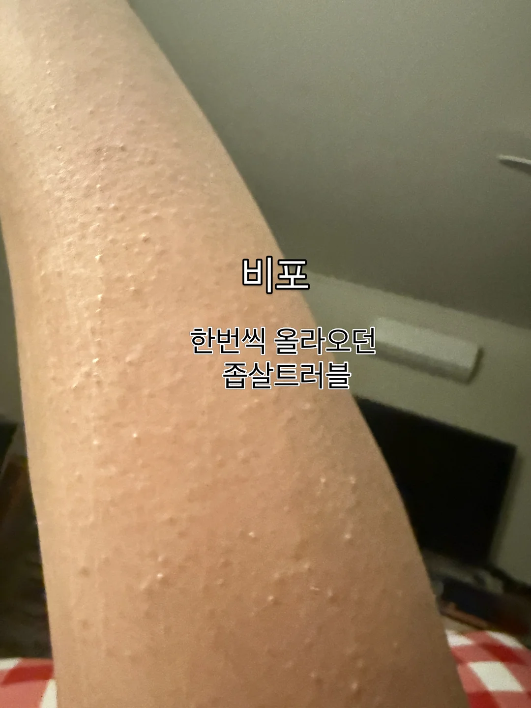 물놀이 캐치볼 세트 8