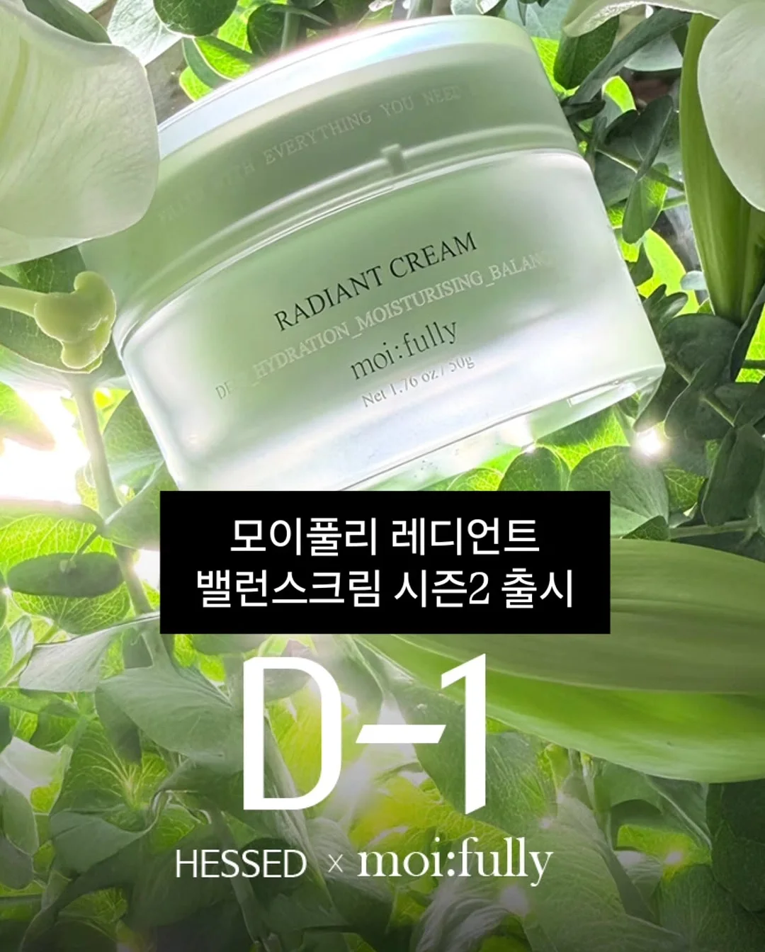 휴대용 압축 타올 1