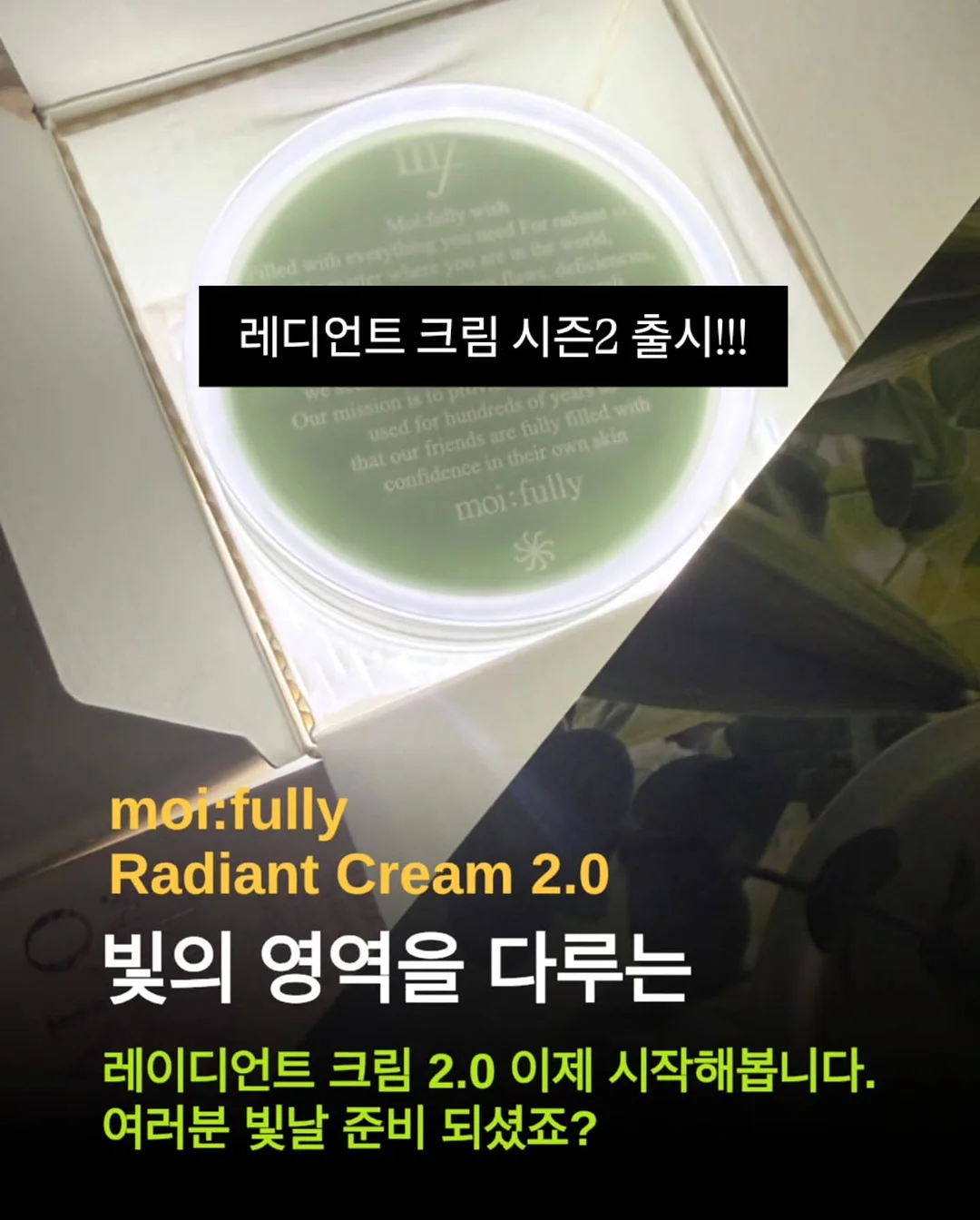 휴대용 압축 타올 4