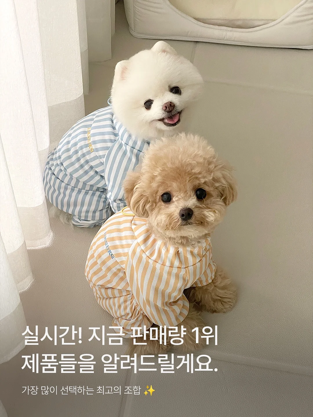에어가드 1