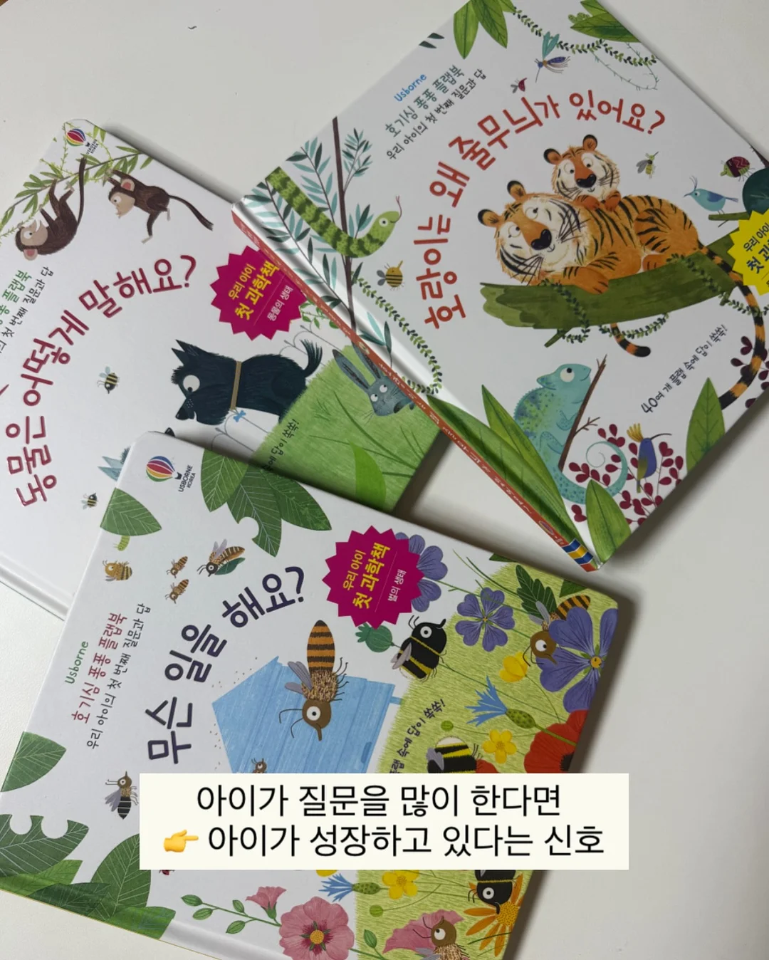 토끼 케이크 DIY 키트 7