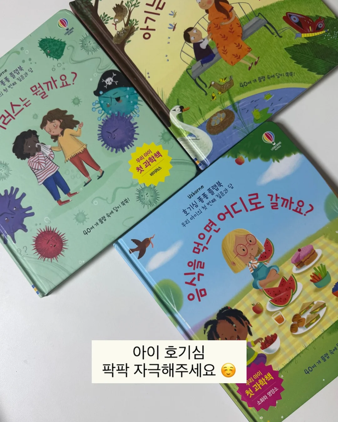 토끼 케이크 DIY 키트 8
