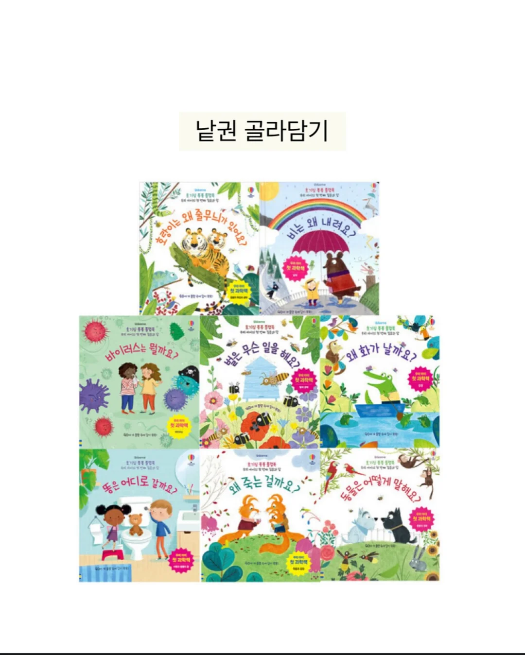 토끼 케이크 DIY 키트 9