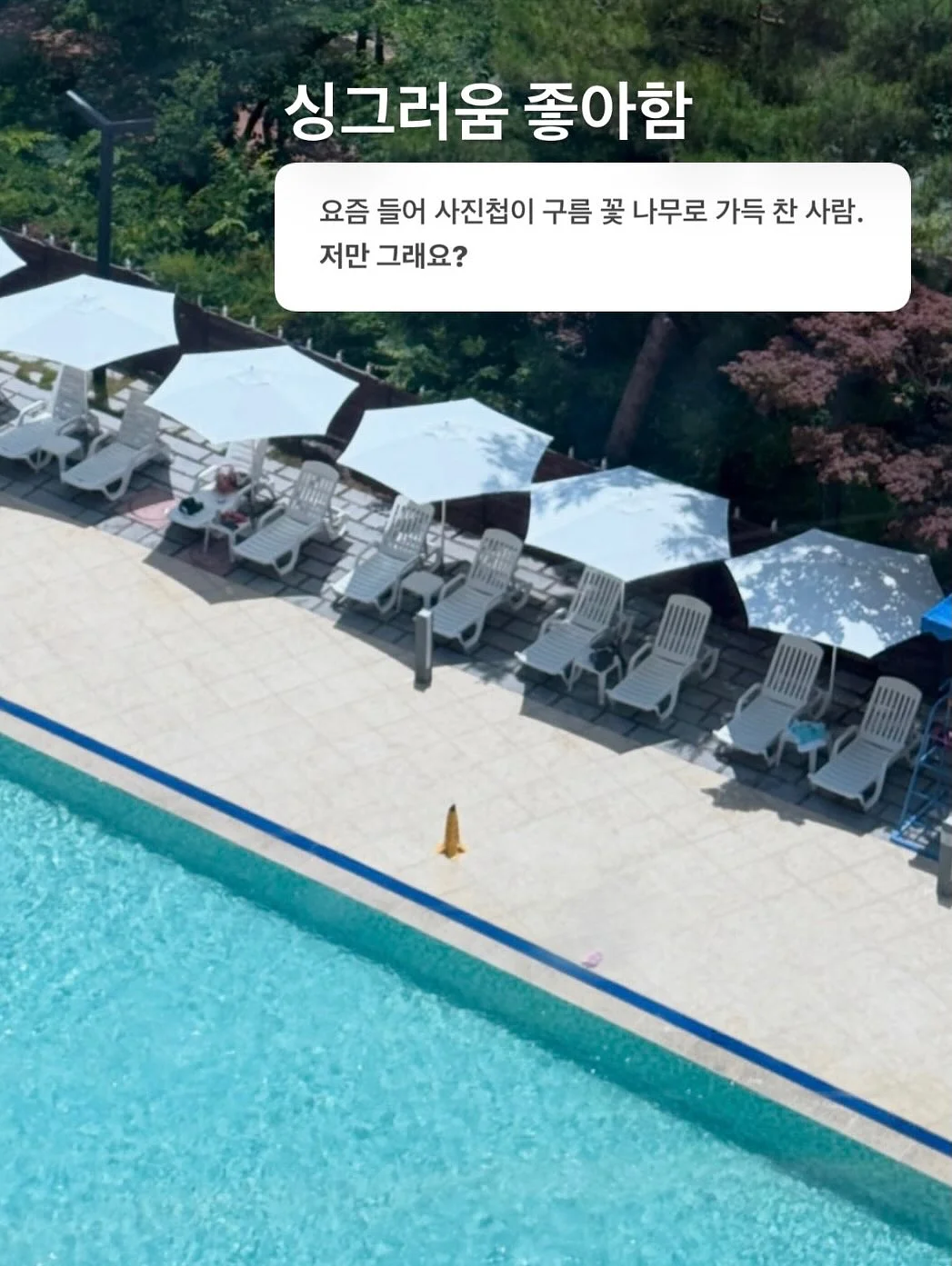 속치마 1