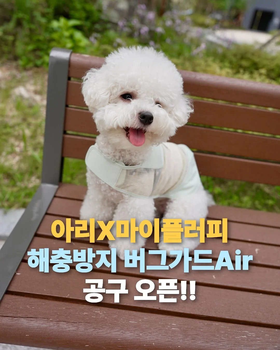 말띠 태명 토퍼 1