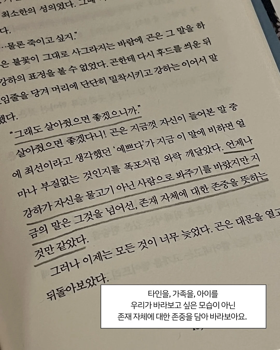 폴로 기본티 11