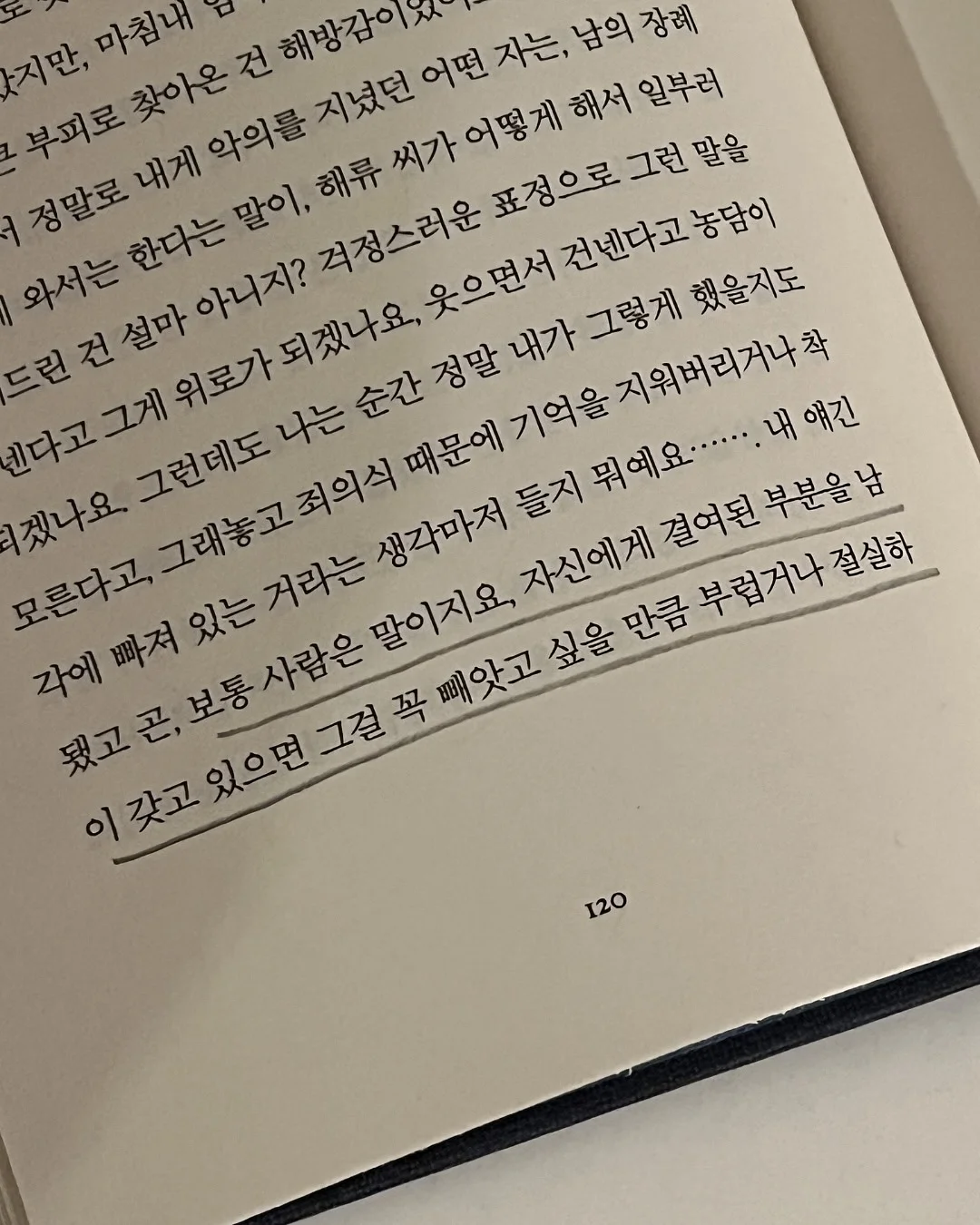 폴로 기본티 12