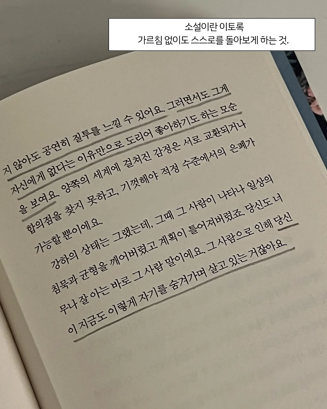폴로 기본티 13