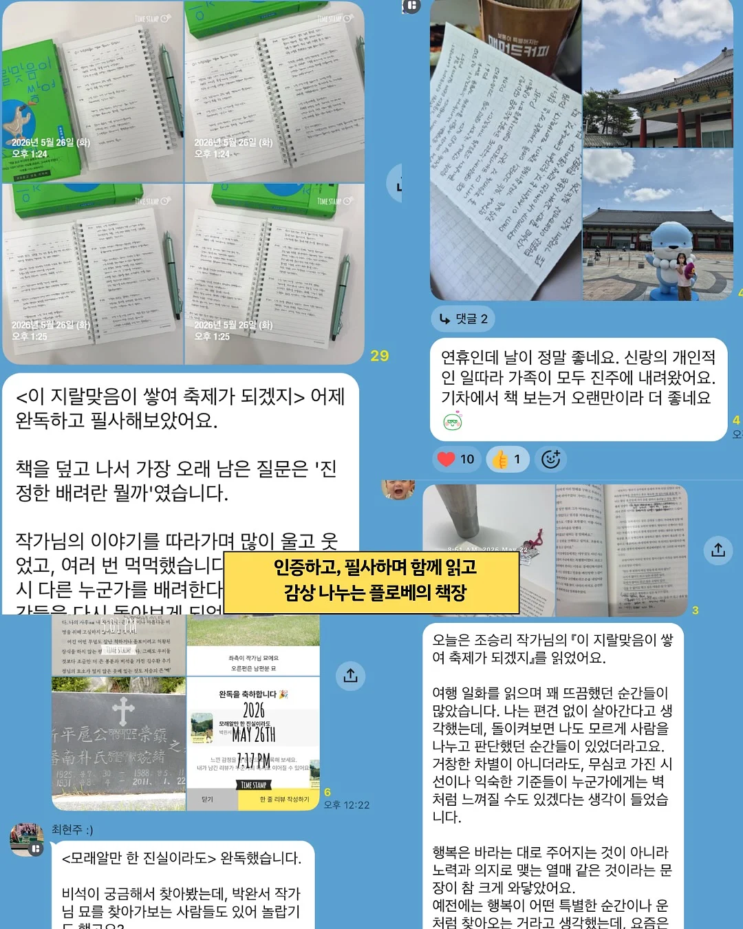 폴로 기본티 17