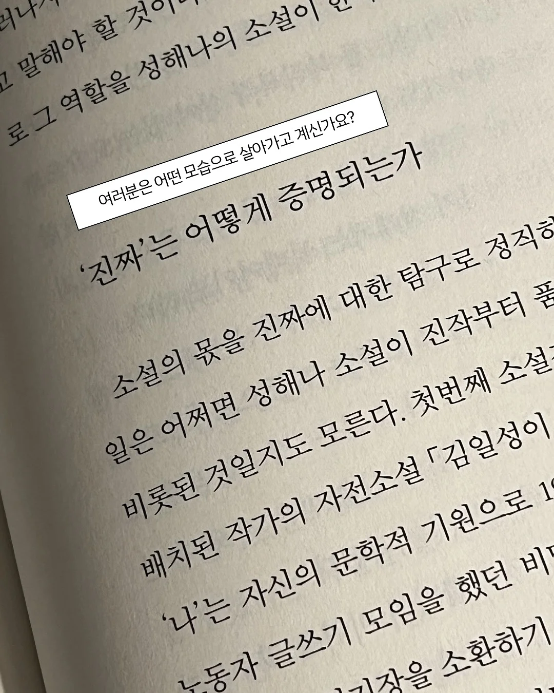 폴로 기본티 3