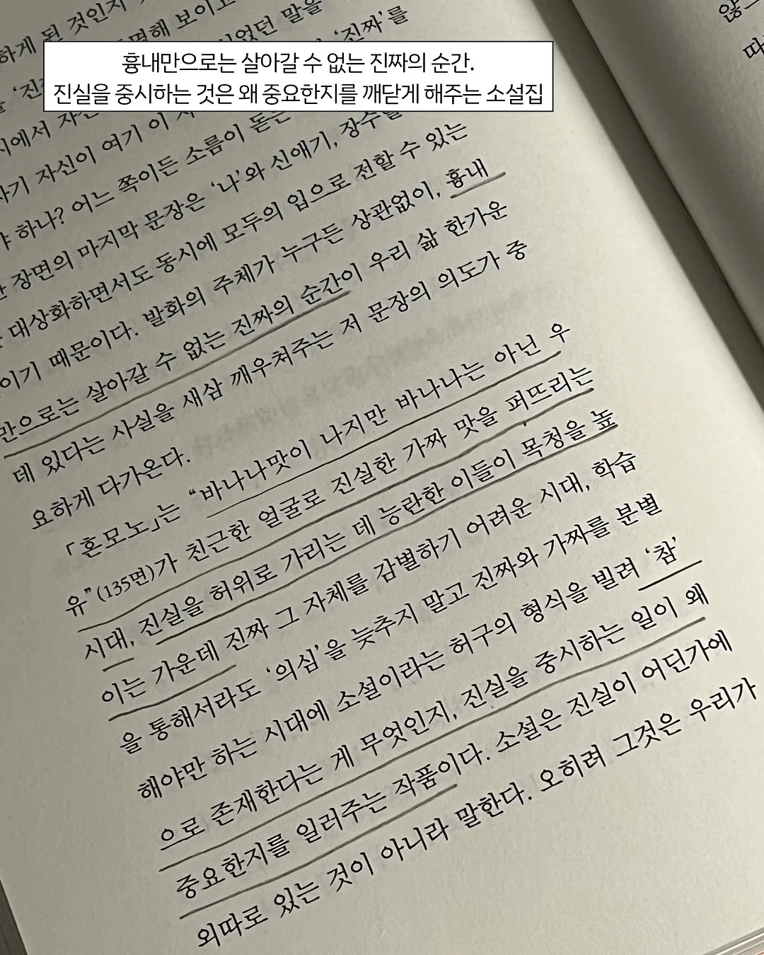 폴로 기본티 4