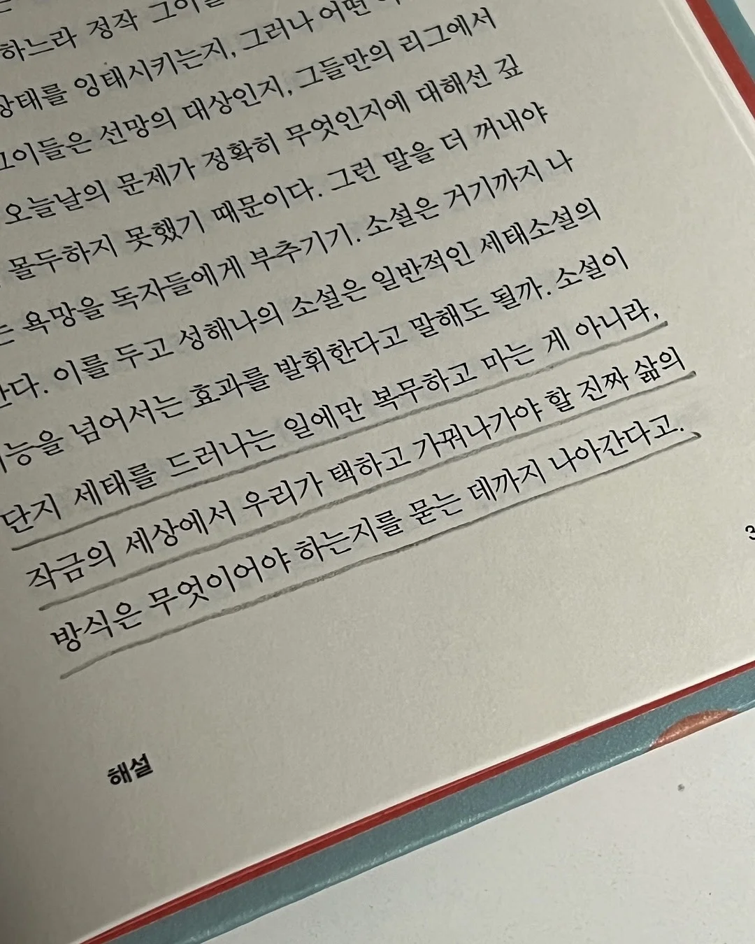 폴로 기본티 5