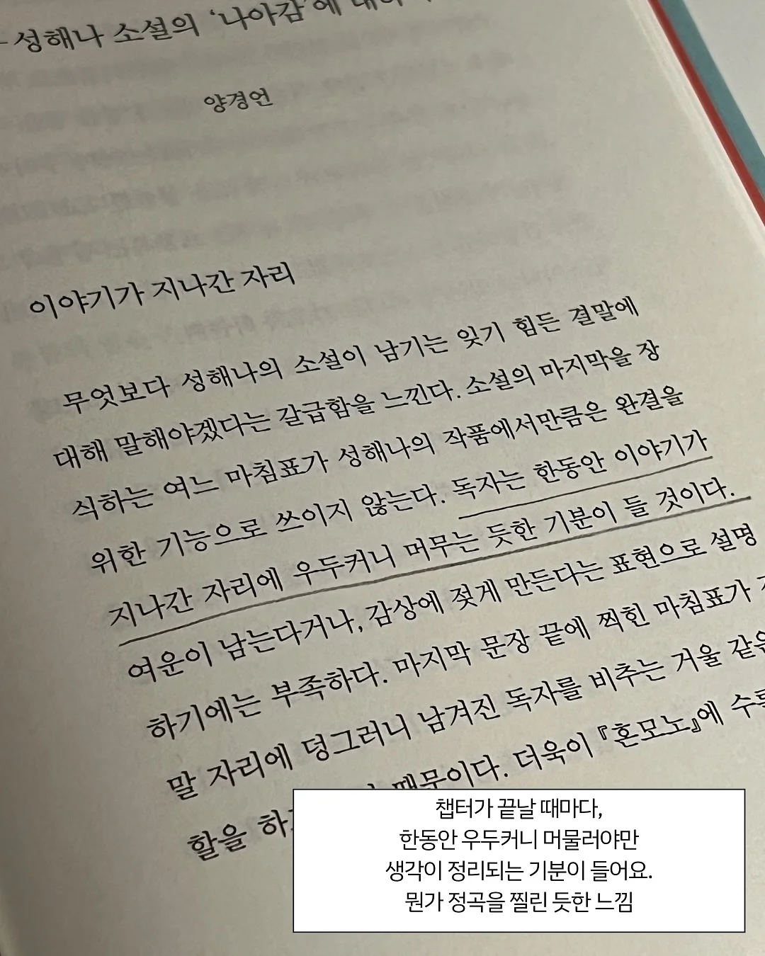 폴로 기본티 6