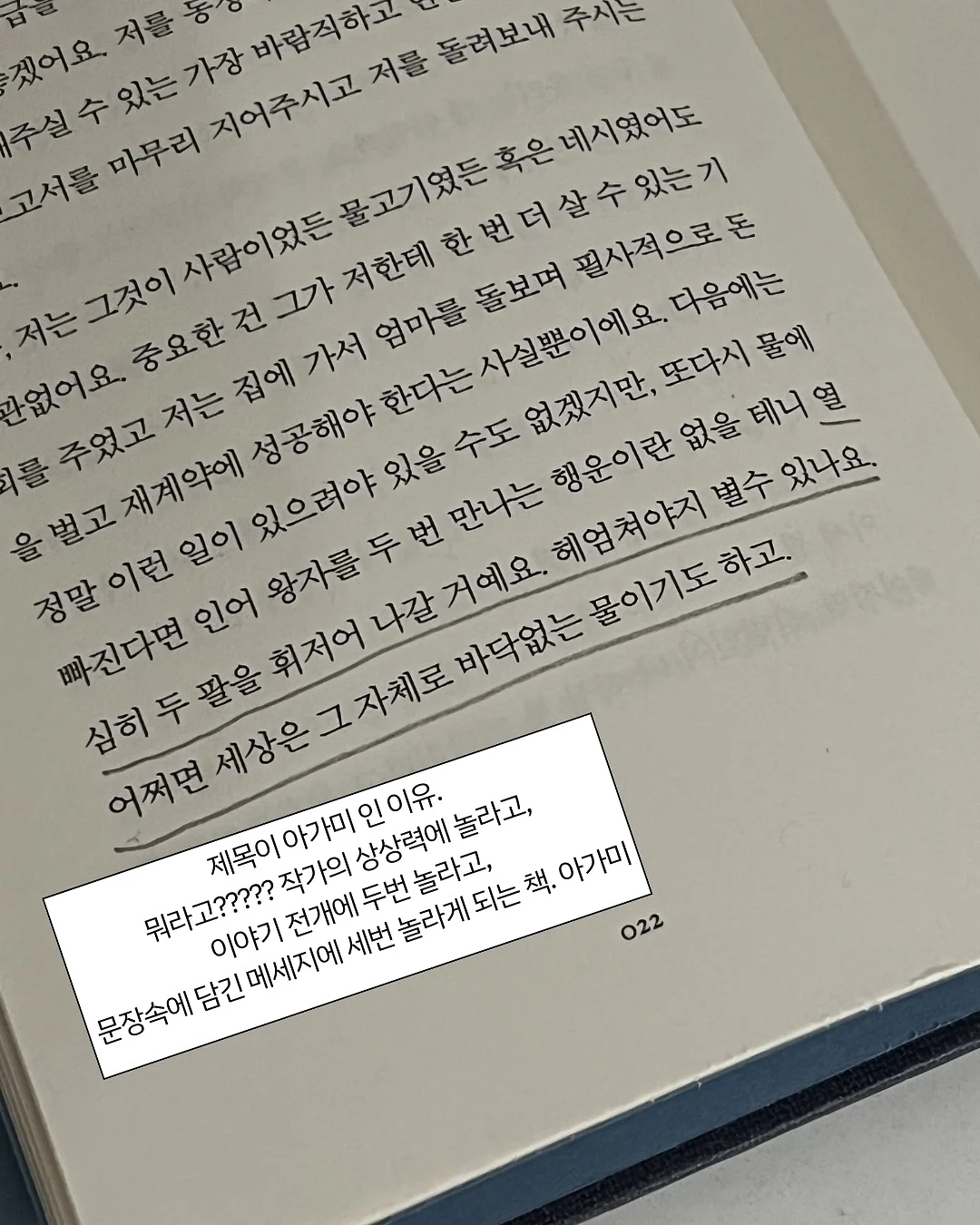 폴로 기본티 10