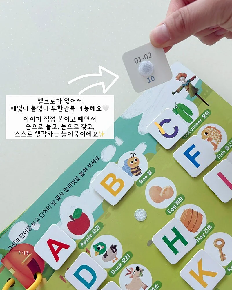 미니앙주 4