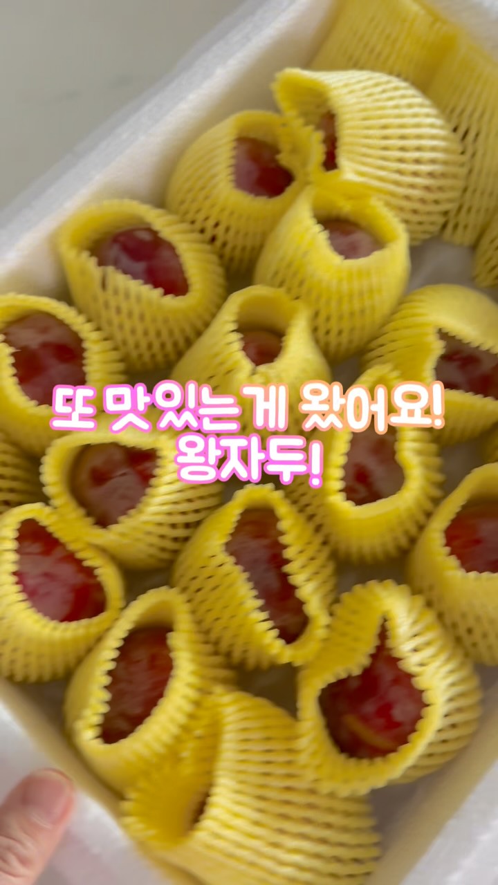 경첩 도구