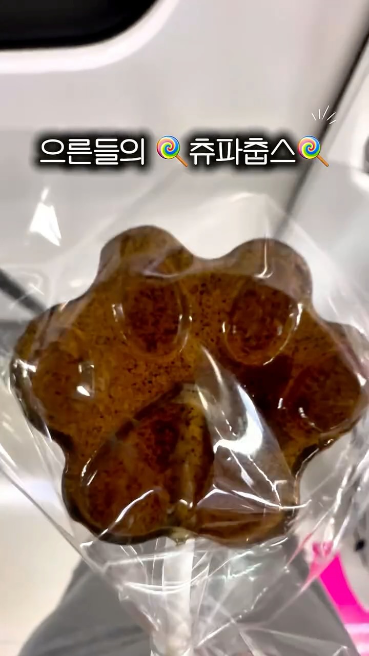 데일리 베이직 단추