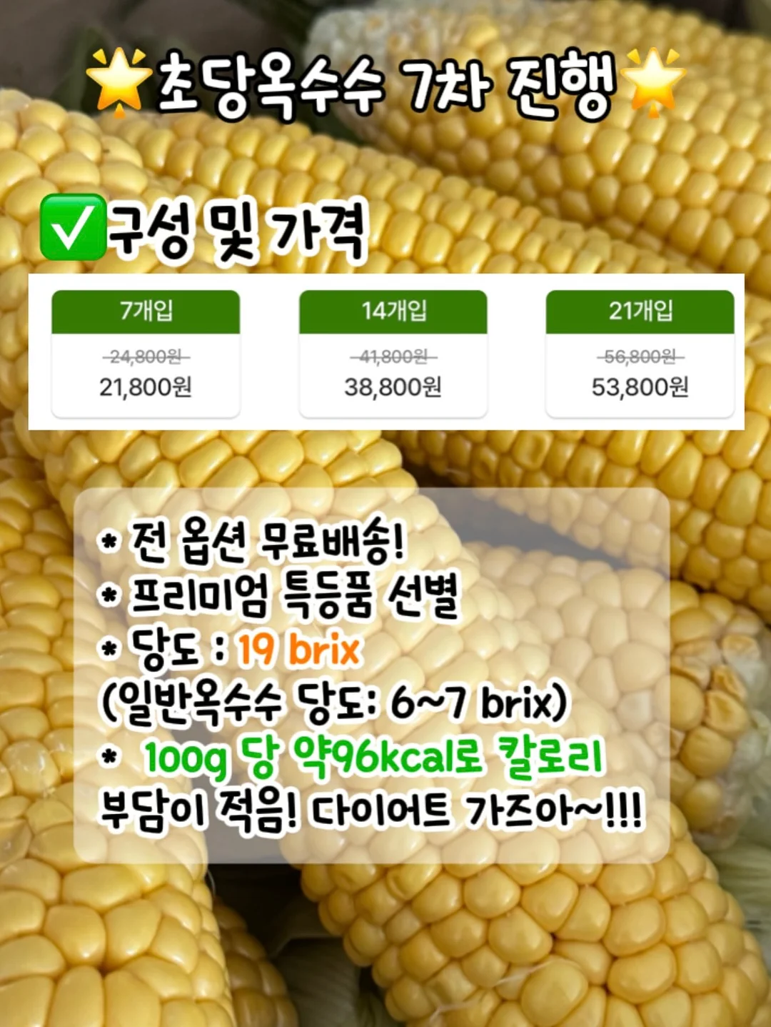 연박 특가 6