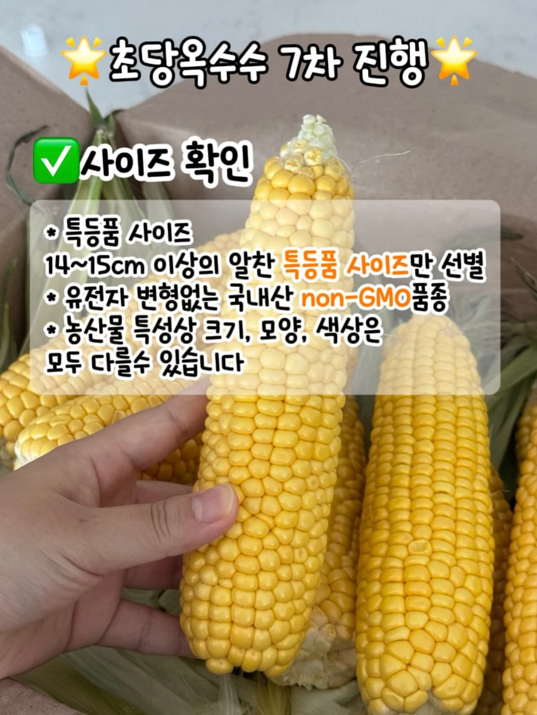 연박 특가 7