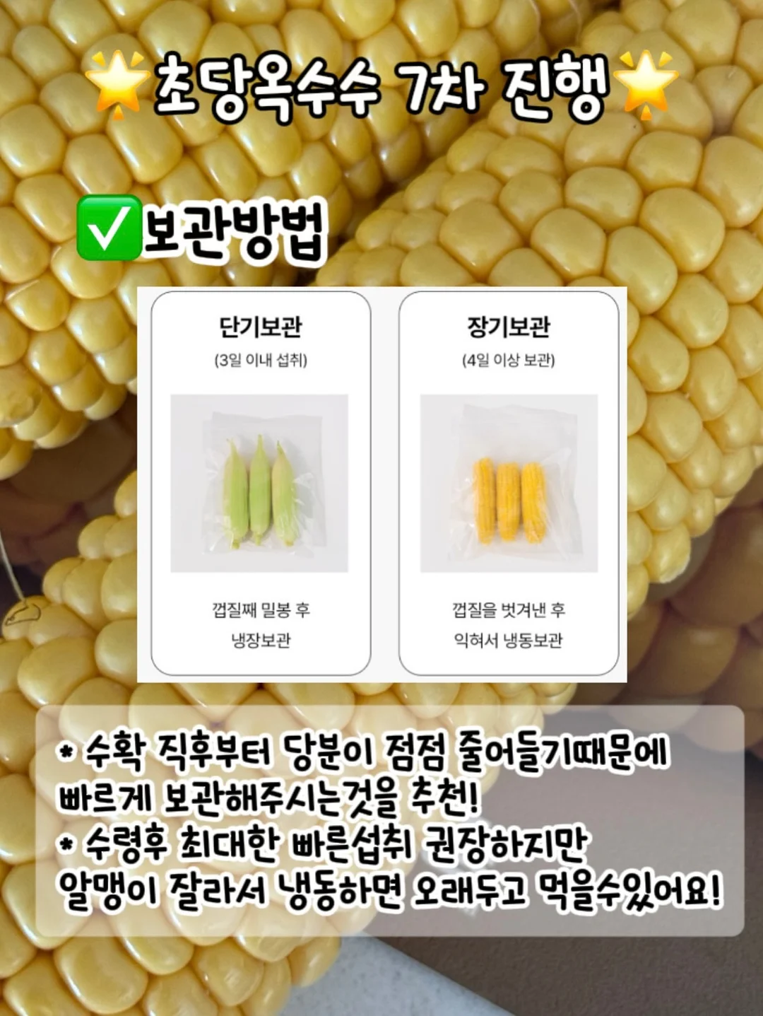연박 특가 8