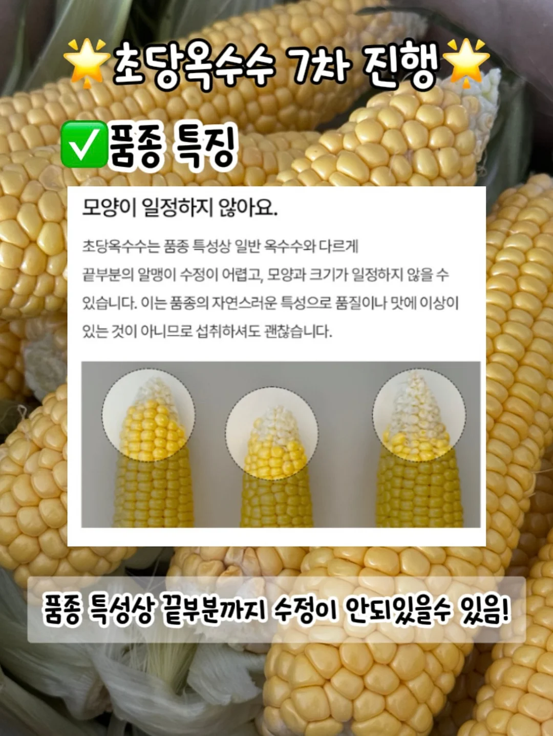 연박 특가 10