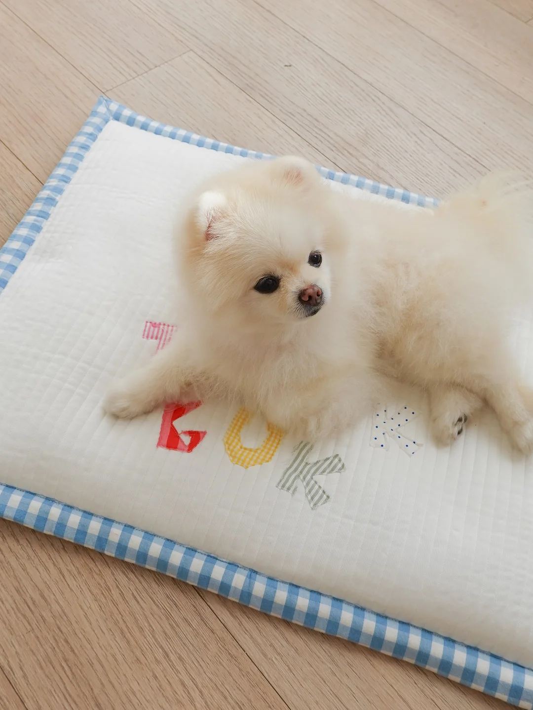 키링 1