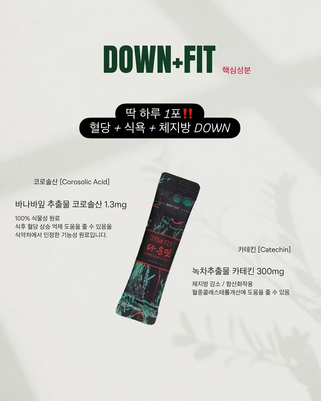 광광학교 미스트 3