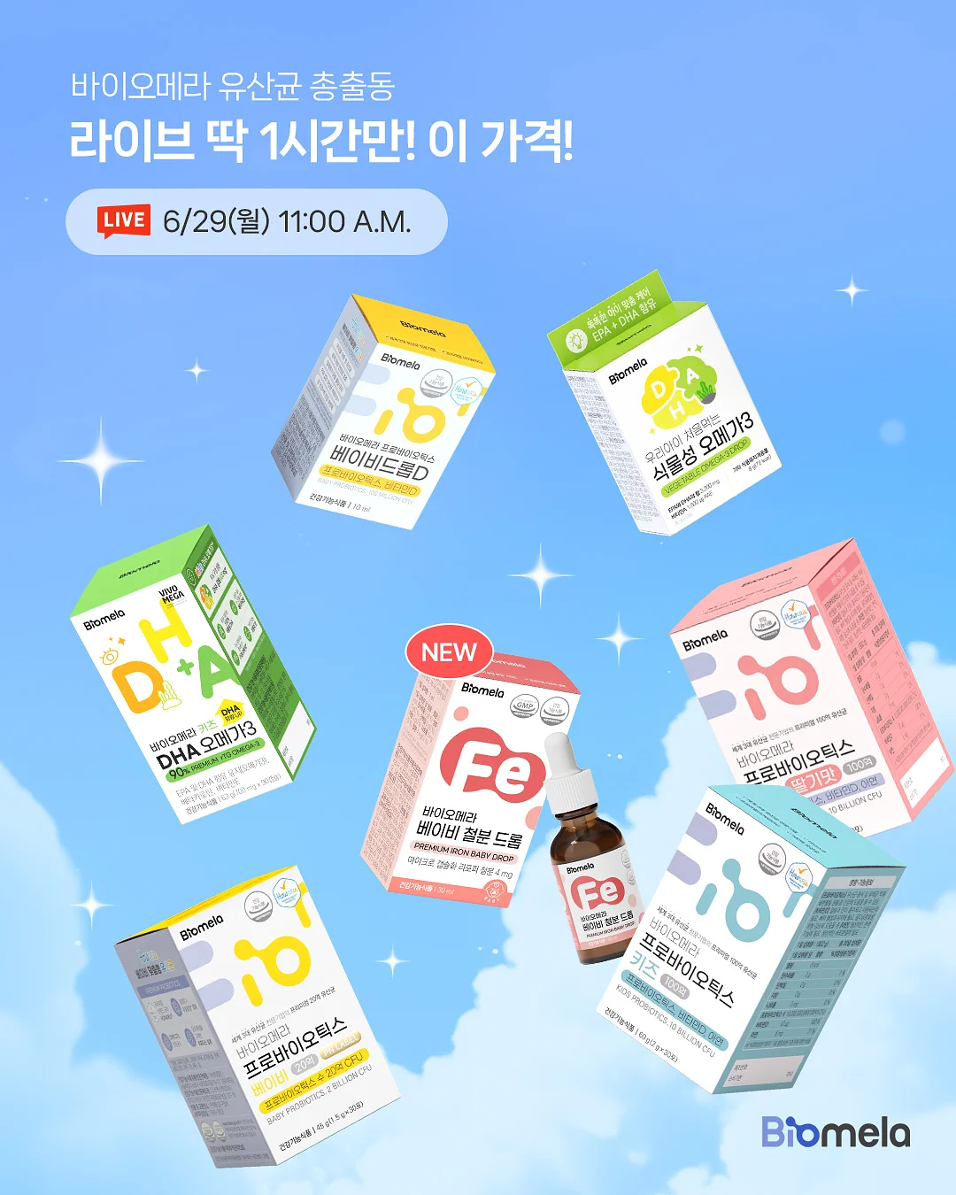 헤즐 세트