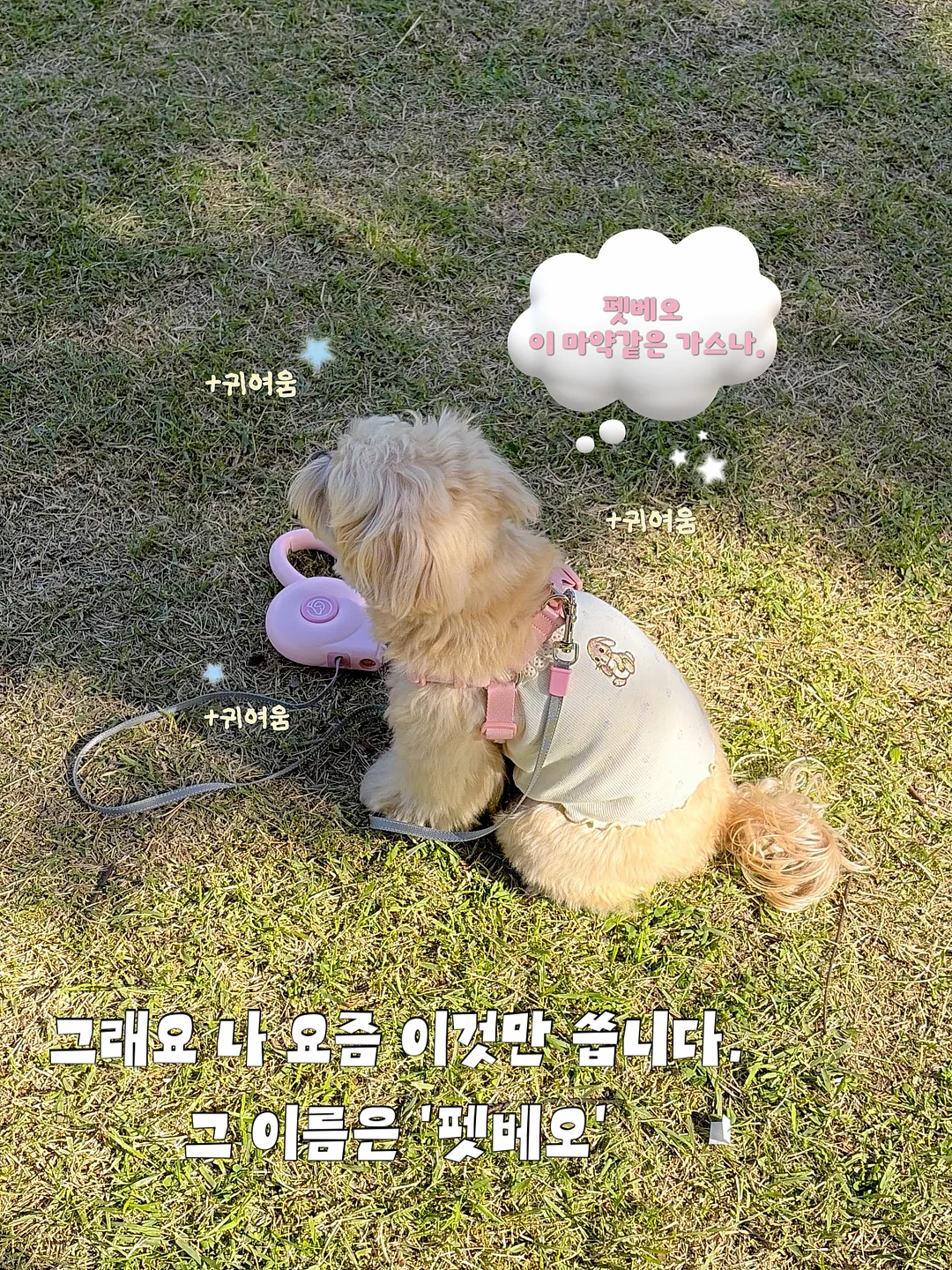폴배색 가디간 3
