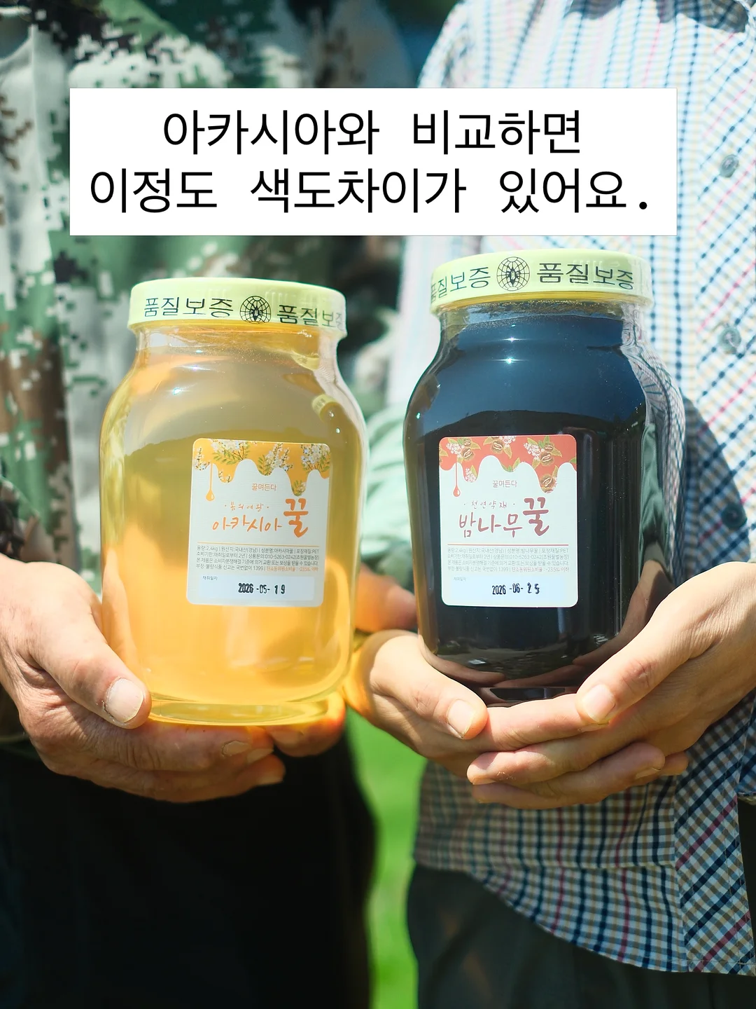 claude 영상 제작 도구 2