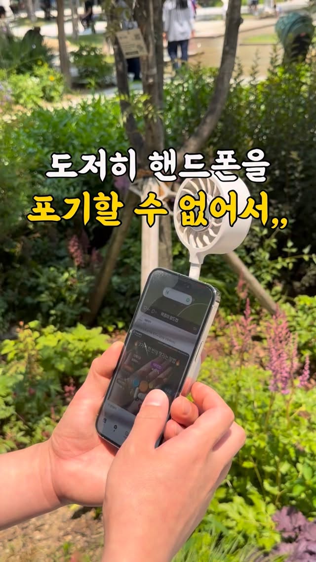 찐티 보리차