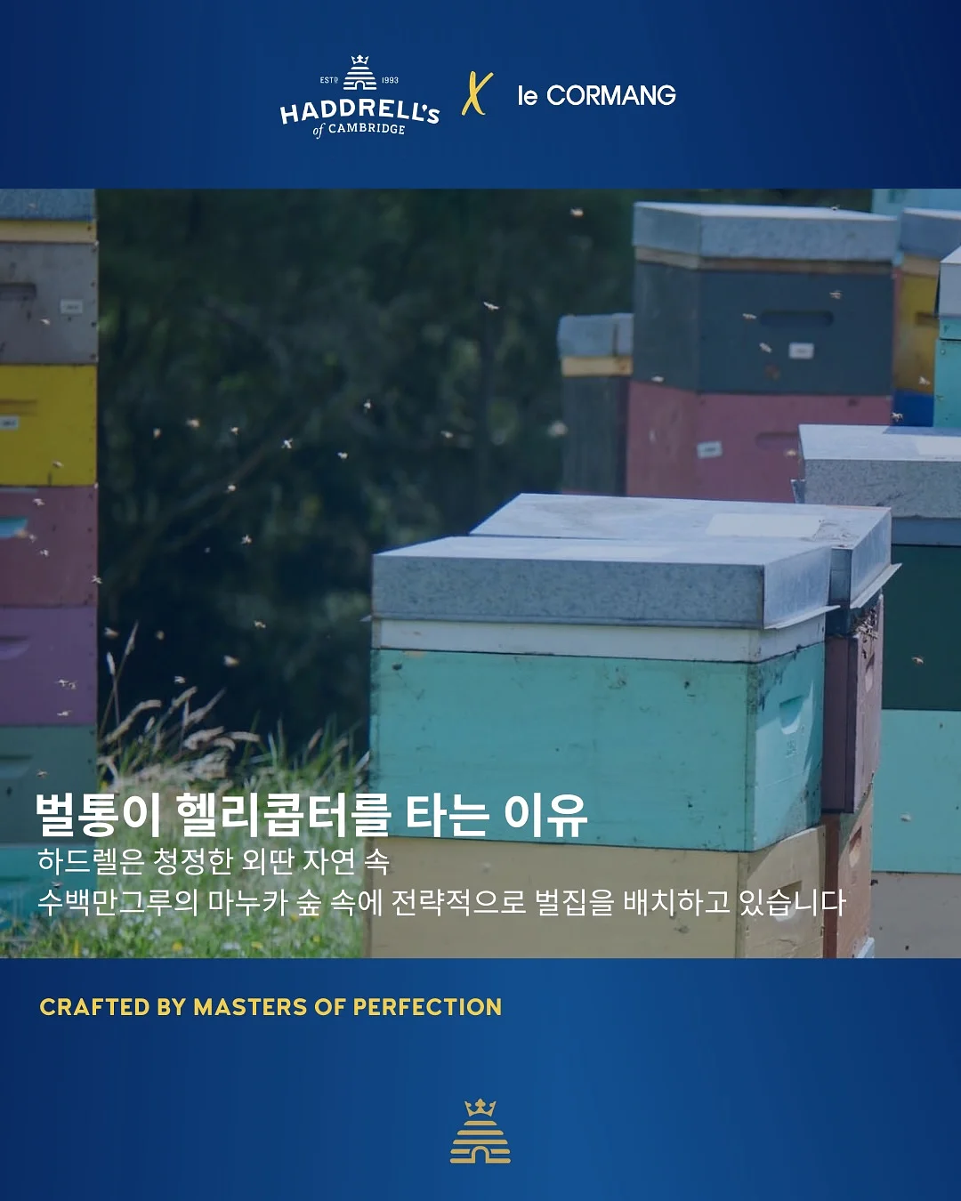 열혈농구단 시즌2 직관 티켓 4