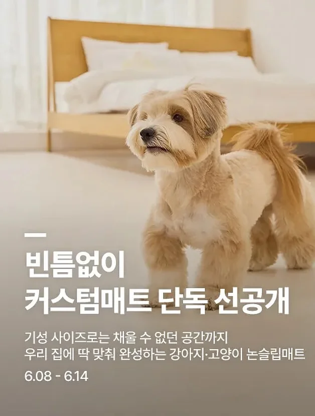 성덕대왕 자운신종 핸드폰 케이스 5