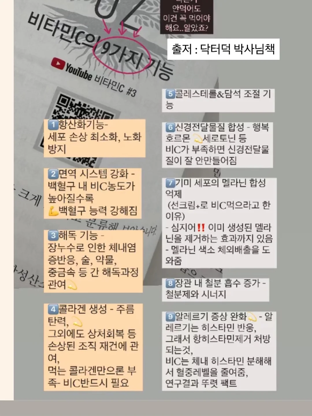 고교 유니폼케이스 12