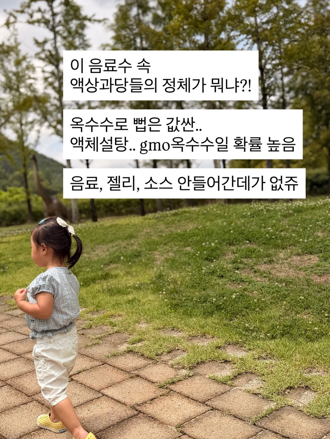 고교 유니폼케이스 4