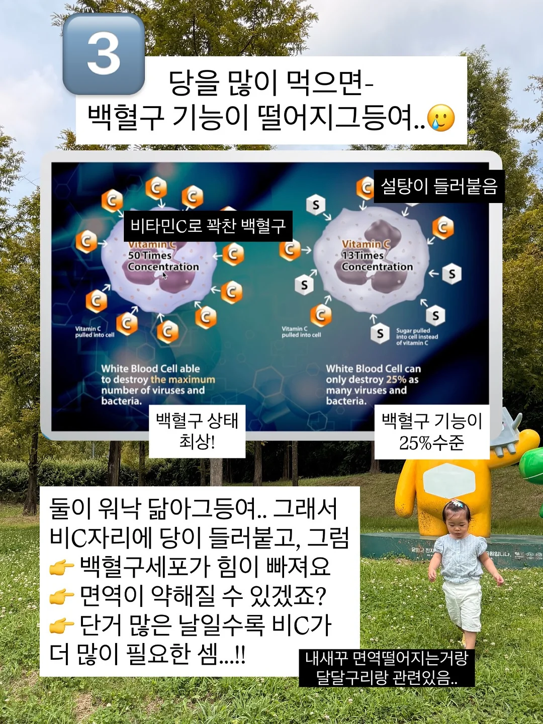 고교 유니폼케이스 6