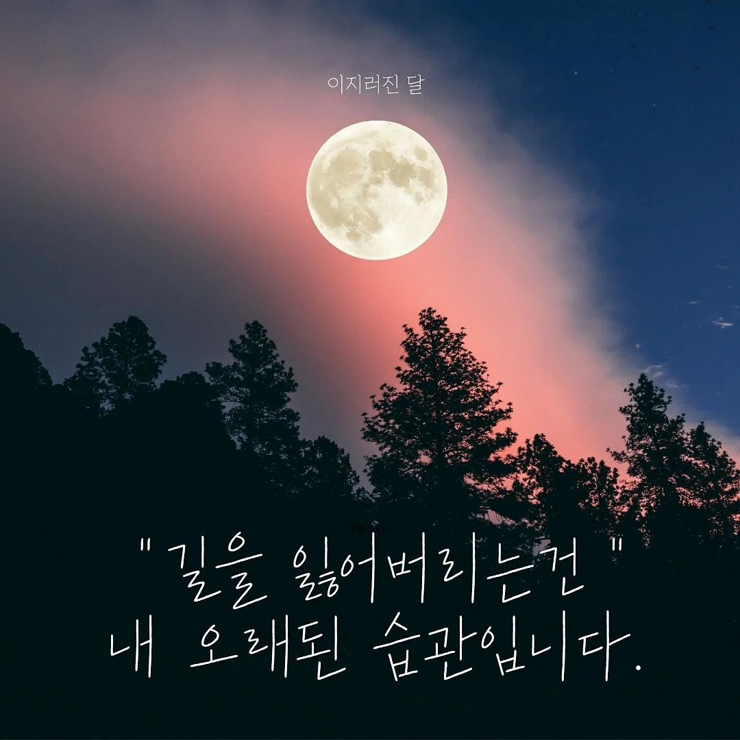 Fibreno 오버핏 사이즈 티셔츠 1